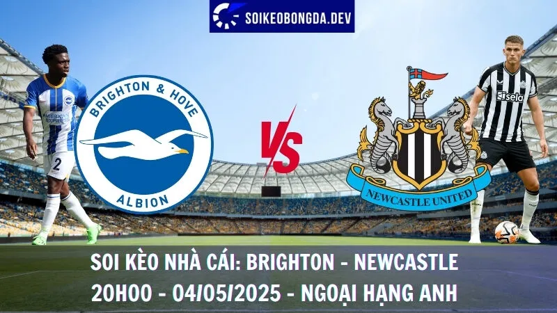Soi Kèo Nhà Cái Brighton vs Newcastle - 04/05/2025 - Ngoại Hạng Anh 1 Soi Kèo Nhà Cái Brighton vs Newcastle - 04/05/2025 - Ngoại Hạng Anh