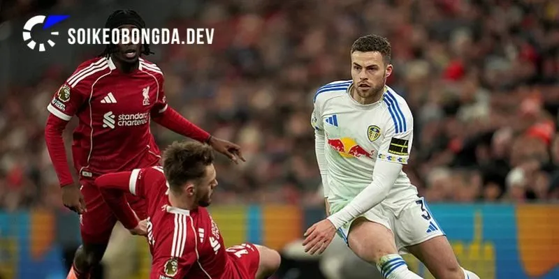 Soi Kèo Giao Hữu Liverpool vs Leeds United Lúc 03h00 03/08 4 Chuyên gia soi kèo cho cuộc đối đầu Liverpool vs Leeds United