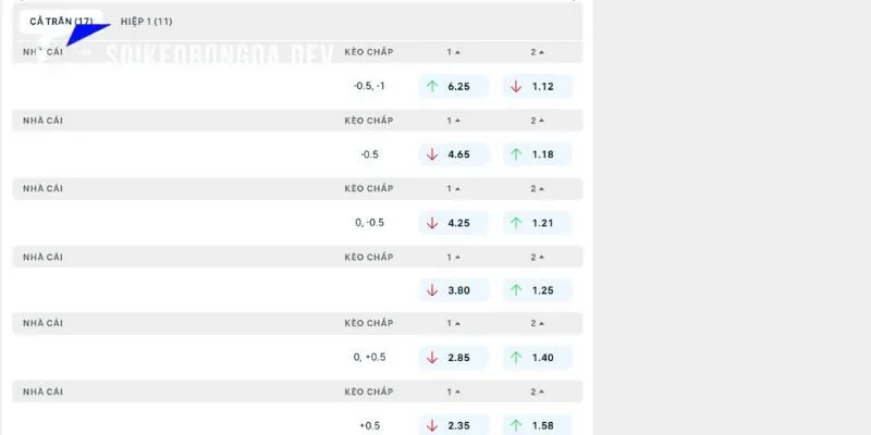 Phân tích nhận định kèo trận đấu Elversberg vs Leverkusen