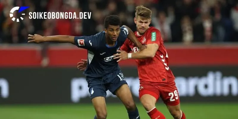 Nhận Định FC Cologne vs Hoffenheim Vòng 1 Bundesliga 2026/2027 2 Thực lực khác biệt của FC Cologne vs Hoffenheim