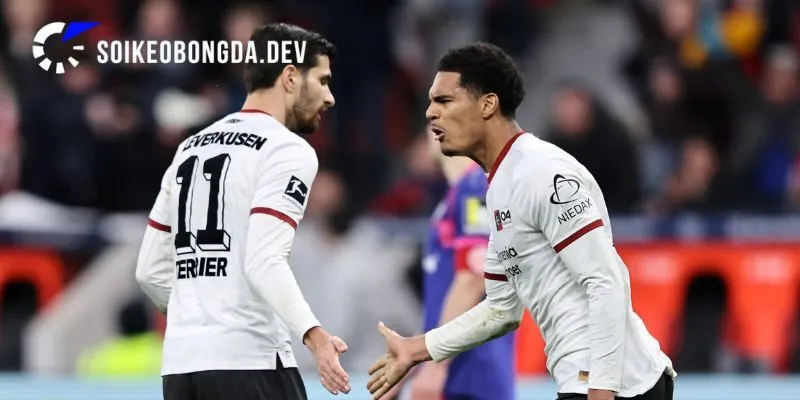 Nhìn lại phong độ hiện tại của Mainz 05 vs Paderborn